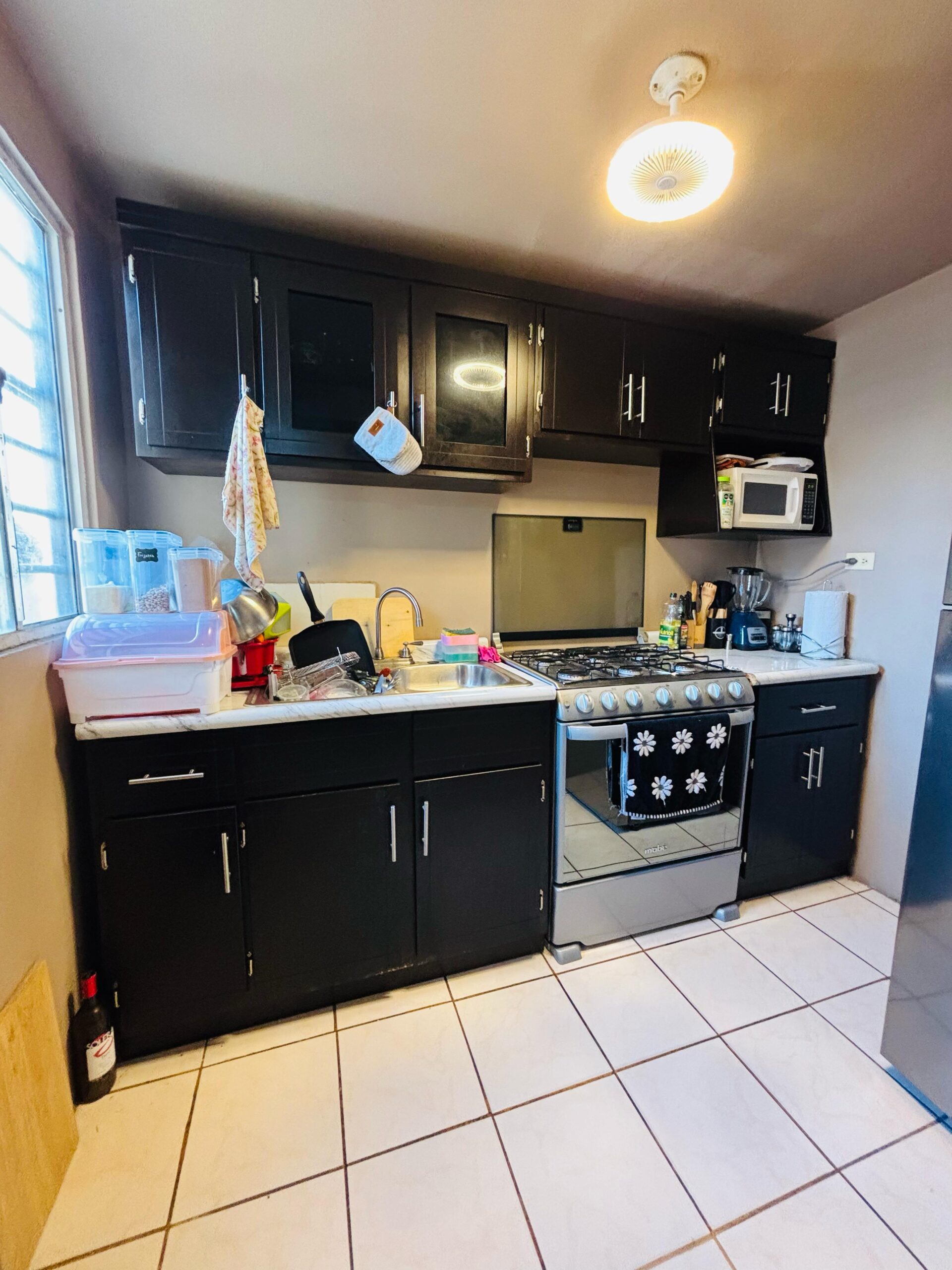 WhatsApp Image 2026-02-08 at 18.37.15 (3)