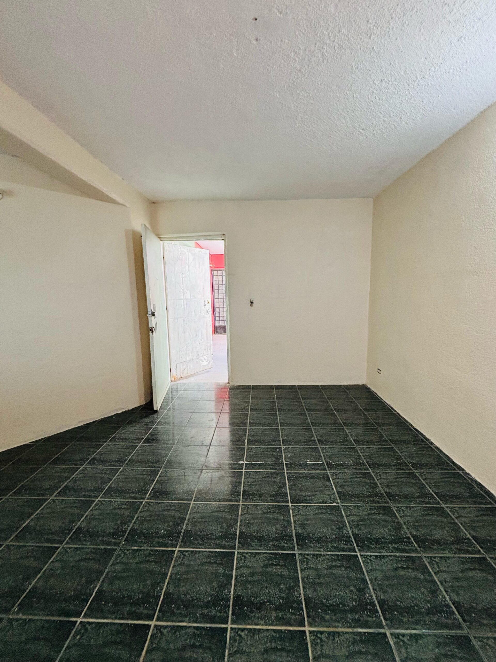 WhatsApp Image 2026-03-15 at 15.21.19 (3)