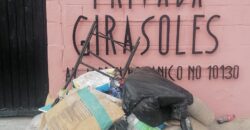 FRACCIONAMIENTO PASEOS DEL FLORIDO PRIVADA  GIRASOLES UNIDAD 34-B