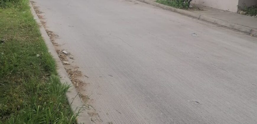 FRACCIONAMIENTO URB QUINTA DEL CEDRO PRIVADA CAMELLIO UNIDAD 26