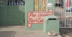 FRACCIONAMIENTO CAÑADAS DEL FLORIDO PRIVADA  FLOR DE LOTO UNIDAD  1
