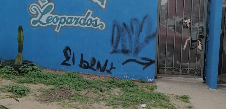 FRACCIONAMIENTO CAÑADAS DEL FLORIDO PRIVADA DE LOS LEOPARDOS UNIDAD 76