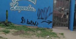 FRACCIONAMIENTO CAÑADAS DEL FLORIDO PRIVADA DE LOS LEOPARDOS UNIDAD 21