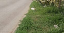 FRACCIONAMIENTO URB QUINTA DEL CEDRO PRIVADA CAMELLIO UNIDAD 26