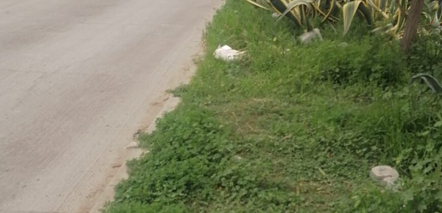 FRACCIONAMIENTO URB QUINTA DEL CEDRO PRIVADA CAMELLIO UNIDAD 26