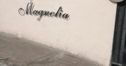 FRACCIONAMIENTO HACIENDA SANTA MARIA PRIVADA MAGNOLIAS UNIDAD  2