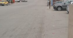 FRACCIONAMIENTO PASEOS DEL VERGEL, PRIVADA JOJOBAS 20-A