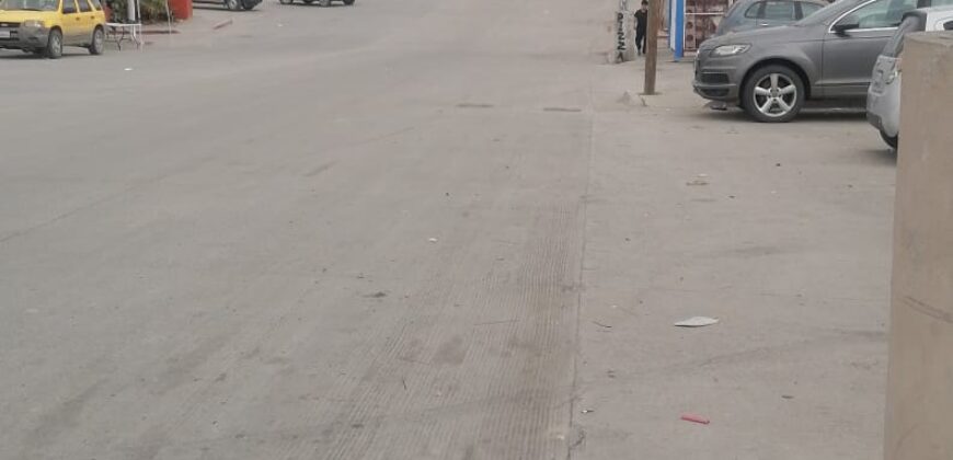 FRACCIONAMIENTO PASEOS DEL VERGEL, PRIVADA JOJOBAS 20-A