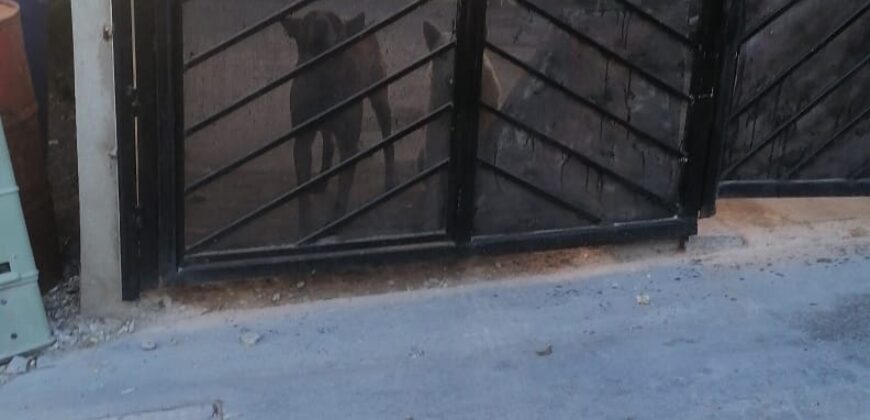 FRACCIONAMIENTO VILLA RESIDENCIAL DEL BOSQUE PRIVADA DEL NOGAL UNIDAD 86