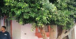 FRACCIONAMIENTO VILLA RESIDENCIAL DEL BOSQUE PRIVADA DEL OLMO UNIDAD 20