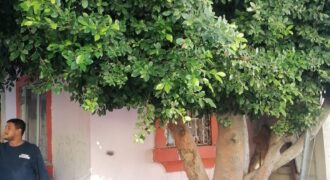 FRACCIONAMIENTO VILLA RESIDENCIAL DEL BOSQUE PRIVADA DEL OLMO UNIDAD 20