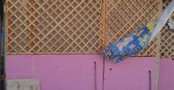 FRACCIONAMIENTO VILLA RESIDENCIAL DEL BOSQUE PRIVADA DEL NOGAL UNIDAD 19