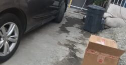 FRACCIONAMIENTO LOS LOBOS C-4 20500, UNIDAD 62-B