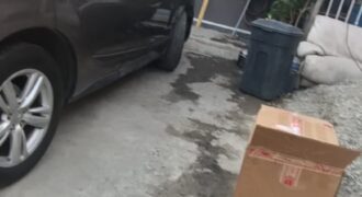 FRACCIONAMIENTO LOS LOBOS C-4 20500, UNIDAD 62-B