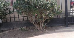 FRACCIONAMIENTO VILLA RESIDENCIAL DEL BOSQUE PRIVADA DE LOS LIRIOS UNIDAD 17