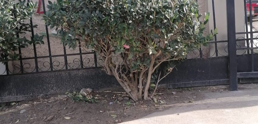 FRACCIONAMIENTO VILLA RESIDENCIAL DEL BOSQUE PRIVADA DE LOS LIRIOS UNIDAD 17