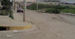 FRACCIONAMIENTO CAÑADAS DEL FLORIDO PRIVADA CHABACANOS UNIDAD 23