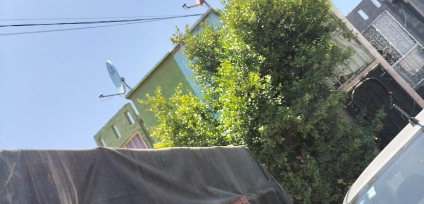 FRACCIONAMIENTO PASEOS DEL VERGEL PRIVADA AVELLANOS UNIDAD 15-B