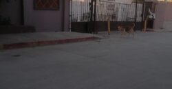 FRACCIONAMIENTO URB QUINTA DEL CEDRO PRIVADA GUAYACAN UNIDAD 12