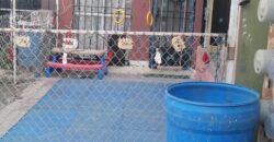 FRACCIONAMIENTO CAÑADAS DEL FLORIDO PRIVADA TULIPANES UNIDAD 64