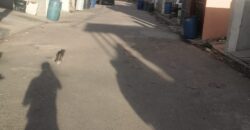 FRACCIONAMIENTO CAÑADAS DEL FLORIDO PRIVADA SANDALO UNIDAD 25