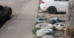 FRACCIONAMIENTO CAÑADAS DEL FLORIDO PRIVADA CHABACANOS UNIDAD 4