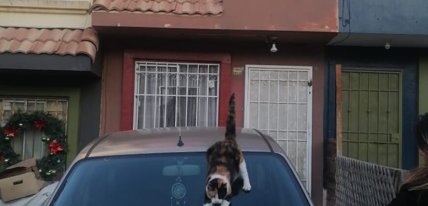 FRACCIONAMIENTO URB QUINTA DEL CEDRO PRIVADA GUAYACAN UNIDAD 12
