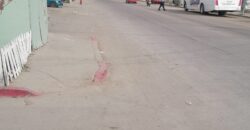 FRACCIONAMIENTO PASEOS DEL VERGEL PRIVADA AVELLANOS UNIDAD 15-B