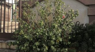 FRACCIONAMIENTO VILLA RESIDENCIAL DEL BOSQUE PRIVADA DE LAS ROSAS UNIDAD 8