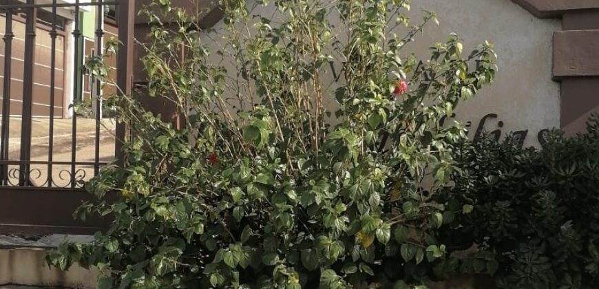 FRACCIONAMIENTO VILLA RESIDENCIAL DEL BOSQUE PRIVADA DE LAS ROSAS UNIDAD 8