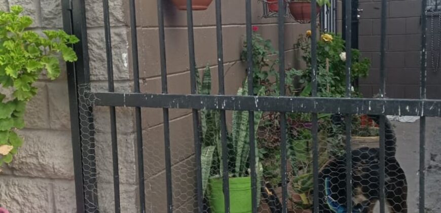 FRACCIONAMIENTO VILLAS DEL DORADO PRIVADA CAMARGO UNIDAD  69