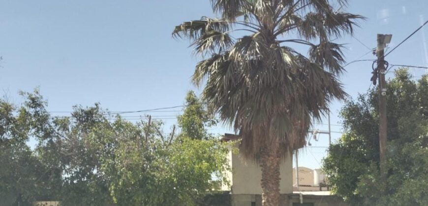 FRACCIONAMIENTO  VILLA RESIDENCIAL DEL BOSQUE, PRIVADA DE LOS PINARES UNIDAD 12