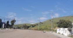 FRACCIONAMIENTO LOS VALLES, PRIVADA DE LOS AHUEHUETES, UNIDAD 41