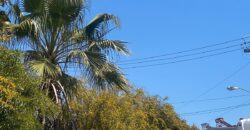 FRACCIONAMIENTO URBI QUINTA DEL CEDRO, PRIVADA ARAUCARIAS UNIDAD 6
