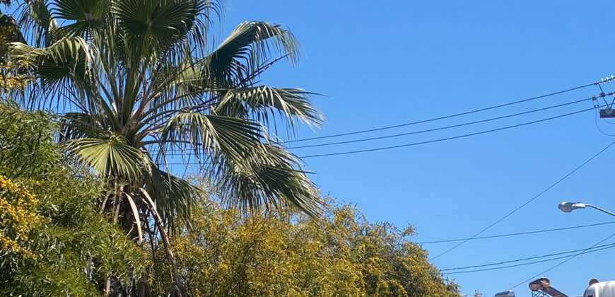FRACCIONAMIENTO URBI QUINTA DEL CEDRO, PRIVADA ARAUCARIAS UNIDAD 6