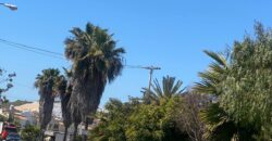 FRACCIONAMIENTO URBI QUINTA DEL CEDRO, PRIVADA ARAUCARIAS UNIDAD 6