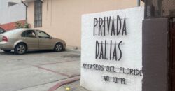 FRACCIONAMIENTO PASEOS DEL FLORIDO, PRIVADA DALIAS, UNIDAD 20A