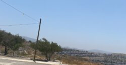 FRACCIONAMIENTO EL LAUREL , PRIVADA MALLORCA , UNIDAD 40