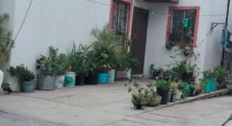 FRACCIONAMIENTO RIBERA DEL BOSQUE, PRIVADA DE LOS CIRUELOS, UNIDAD 08