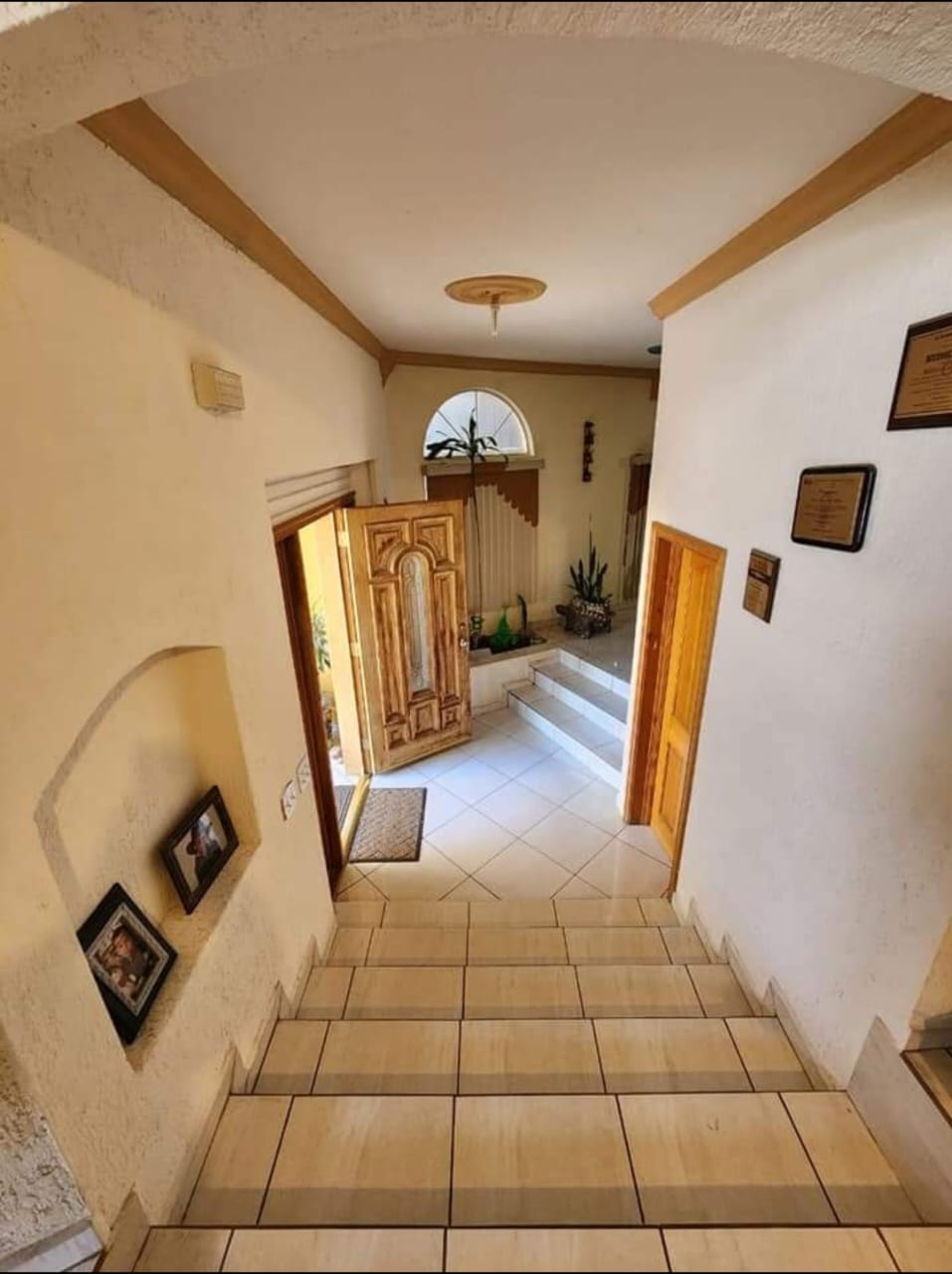 WhatsApp Image 2023-06-09 at 13.41.19 (3)