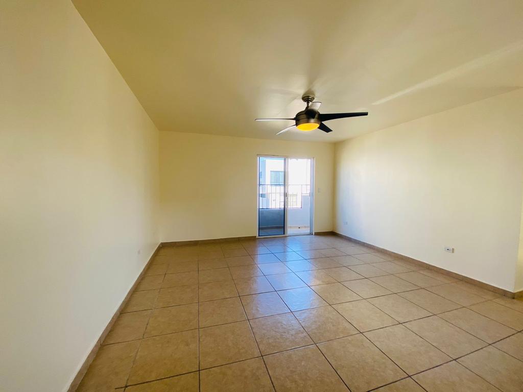 WhatsApp Image 2023-07-18 at 9.27.48 AM