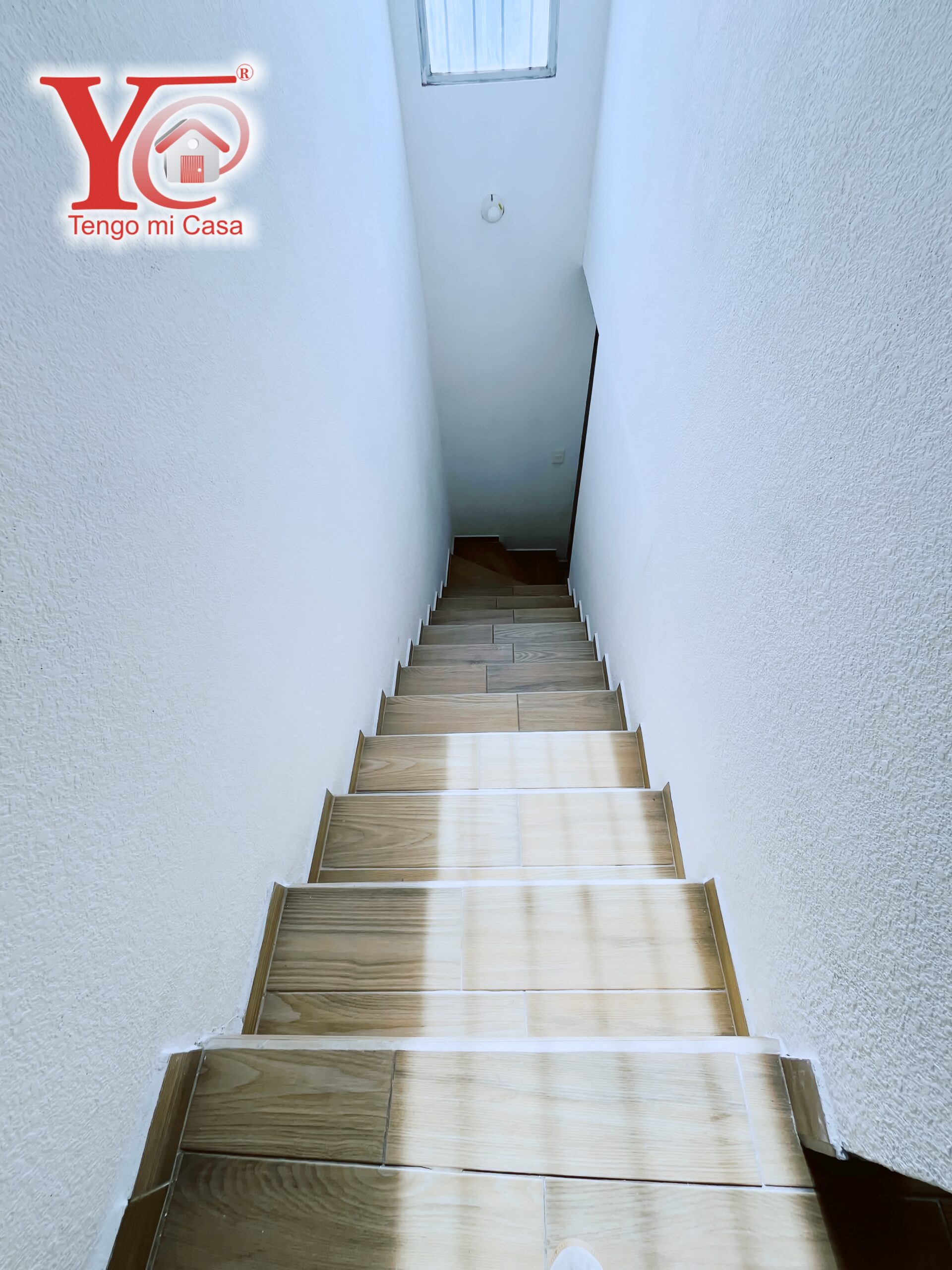 Still 2024-12-21 113309_1.626.1