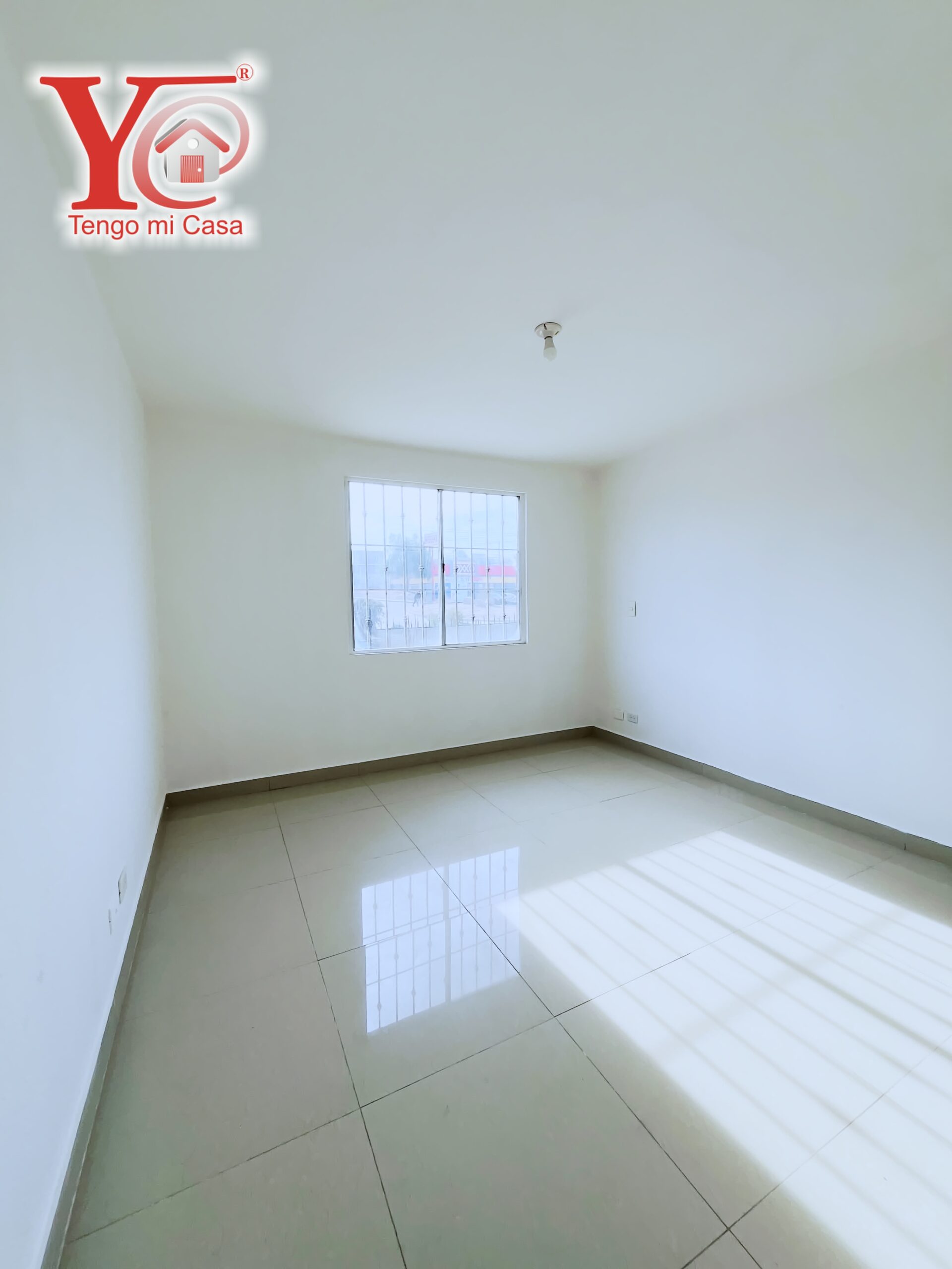 Still 2024-12-21 113309_1.628.1