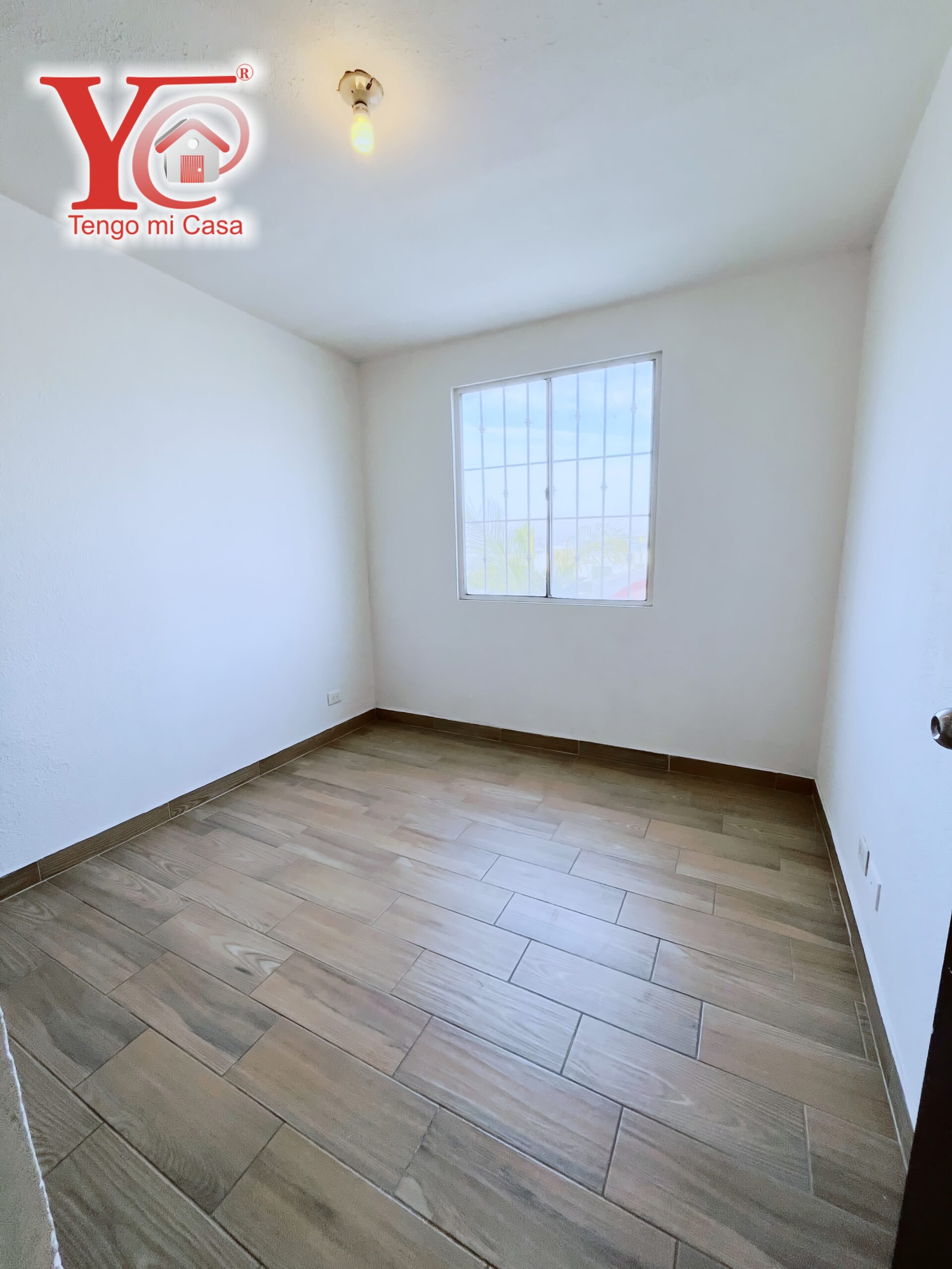 Still 2024-12-21 113309_1.630.1